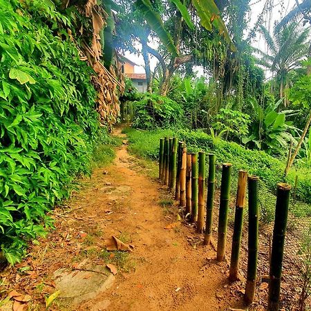 Bela Ipe Pousada Hostel Apart Morro de Sao Paulo Ngoại thất bức ảnh