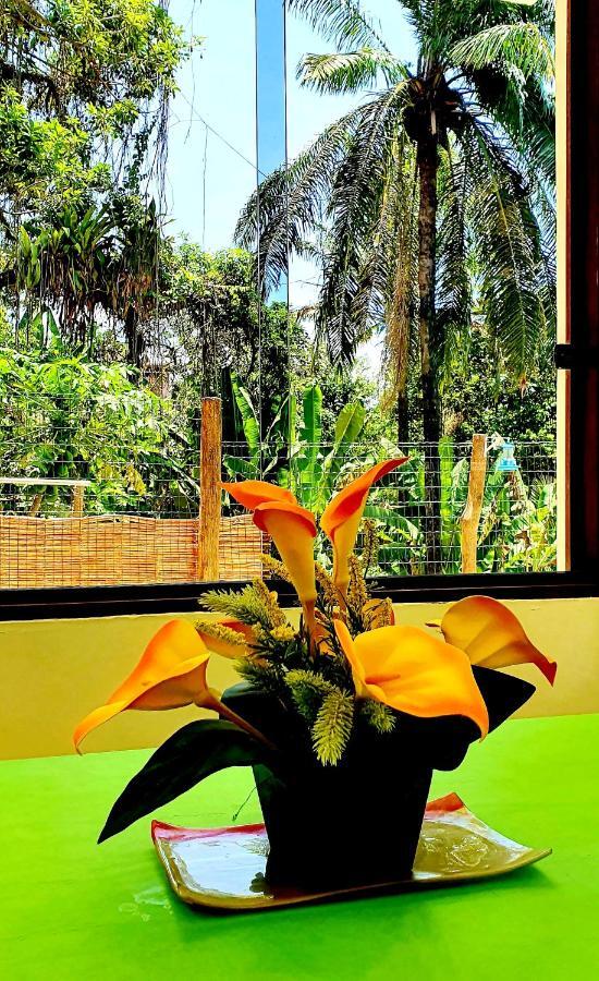 Bela Ipe Pousada Hostel Apart Morro de Sao Paulo Ngoại thất bức ảnh